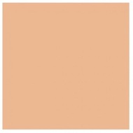 Dulux Pentalite-Interior-5L-Muskmelon DSPIC2201