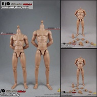 COOMODEL 1/6 Standard Muscle Male Soldier Body MB002 MB003 BD001 BD002 BD003 BD004 25/27CM Military 