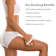 【Must-Have Accessories】  Body Brush for Wet or Dry Brushing Gentle Exfoliating for Softer Glowing Sk