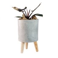 Classy Elevated Cement Planter for House Plants | Cement Pots