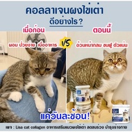 9.9 From The First Piece Lisa Cat Collagen Nourishes Beautiful Hair. Food Powder Reduce Hair Loss Co