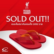 รองเท้าแตะผู้หญิง GARMACK รุ่น LM11005A สไตล์เรียบหรู วัสดุ FABRIC สีแดง/เทา/ดำ ไซส์ 45-46