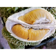 Frozen Fresh Musang King SB Durian 300g