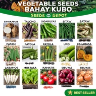 Bahay Kubo Vegetable Seeds - Sigarilyas Talong Sitao Bataw Patani Kundol Patola Kalabasa Labanos Mus