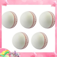 dgkSports Cricket, Training Cricket, Sports Wind Swing Rebound  Cricket, Elastic Decompression Ball