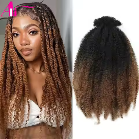 Aliababy 12 inch Marley Twist Braiding Hair Spring Afro Twist synthetic Protein Crochet Hair Bulk Ex