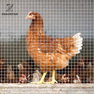 Wholesale Garden Craft PVC Coated Wire Mesh Chicken Dog Fence Green Color Iron Wire Fencing