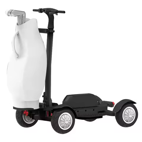 10 inch 2400W DC Motor 4-wheel Golf Electric Scooter Dual Motor White Golf Cart Mobility Electric Go