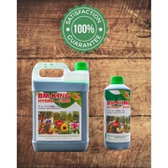 Bm King Foliar Hijau 4L