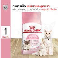 Royal Canin Mother &amp; Babycat 10 Kg. อาหารแมว เม็ดเล็ก ช่วยเสริมสร้างภูมิต้านทาน สำหรับแม่แมว ลูกแมว (10 กิโลกรัม/กระสอบ)