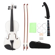 Winnsg Violins Kit Wooden Violin Beginner Pack with Bow Rosin Bag for Students Adults