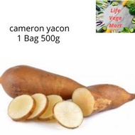 Fresh Cameron yacon  金马伦雪莲果 煲汤