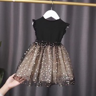 New Girl Dress Korean Puffy Princess Dress "Mesh Baby Girl Dress" Beautiful Baby Dress/Beautiful And