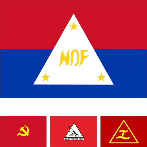 Philippine Communist Party Flag 3X5ft 90X150cm 60x90cm Kabataang Makabayan 21x14cm National Democrat