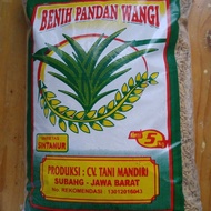 Benih Padi Pandan Wangi 5 kg Bersertifikat Label Ungu Varietas Sintanur