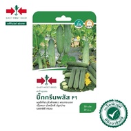 50Biji Benih Timun Batang BIG GREEN PLUS F1 / Timun Batang Cap Panah Merah / East West Seed
