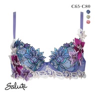 Wacoal Salute 80G BTJ480 P-UP push-up bra (Size C)(40BTJ480C)(Direct from Japan)1