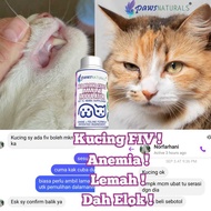 PAWS Naturals Vet TC Herbal Supplement 60g – Red Blood Cells Immune Modulator | Anemia,FIV, FIP,Tumo