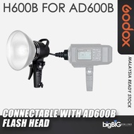Godox AD-H600B 600W Flash Head for GODOX AD600B (Bowen Mount)