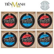 DAddario EJ45 EJ46 EJ47 EJ48 EJ49 EJ50 - Bộ Dây Đàn Classic Guitar Nylon Core