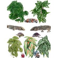 Reptile Habitat Artificial Plants, Amphibian Tank Hideaway Hanging Plants, Climbing Plants - Glass T