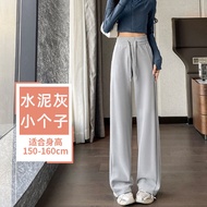 Slim Grey Casual Sport Pants