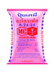 ปุ๋ยเคมีอะโกรเฟต 8-24-24 ตราหัววัวคันไถ