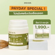 [PAYDAY] Ontrack โปรตีนพืช รสมัทฉะ ผสมโปรไบโอติกส์ (Plant Protein) 500g 17 servings
