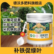 DeWalt Ferrous Sulfate Flower Fertilizer Flower Fertilizer Special Fertilizer Potted Universal Nitro