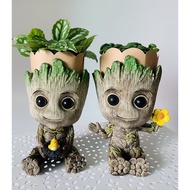 พร้อมส่ง กระถางต้นไม้ Groot - Guardian of The Galaxy กรูท กระถาง