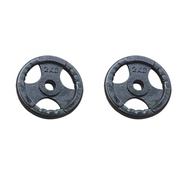 Bộ 2 Bánh Tạ Gang 2kg (Tổng 4kg) Lỗ 27mm Đại Nam Sport