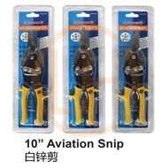 Adamark 10" Aviation Snip
