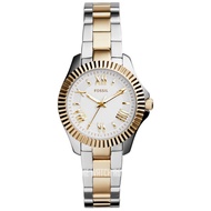 Authentic Original FOSSIL AM4609 Two-tone Ladies Watch Band from USA