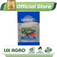 LECKAT 1096 Super Star Tembikai Merah Tanpa Biji SEEDS 100G F1 HYBRID Red WATERMELON Seed SEEDLESS