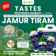 Obat Pembasmi Hama Jamur Tiram / Obat Penumbuh Jamur Tiram/ Obat Hama Pada Jamur Tiram / Obat Hama U