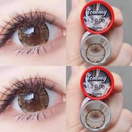 tommy gray tommy brown คอนแทคเลนส์พร้อมส่ง