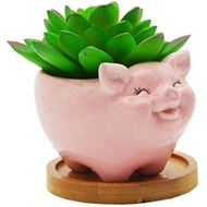 Cuteforyou Succulent Pots, Cute Animal Pig Shaped Ceramic Cactus Flower Planters with Bamboo Tray -P