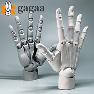 GAGAA Articulated Hand Model, Left/Right Adjustable Anatomically Accurate Jointed Hand, Hand Finger 