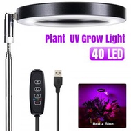 昇星好物 - [黑色] LED伸縮植物燈 生長燈 紅藍光花卉定時燈 植物補光燈 [平行進口]