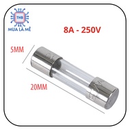 Glass fuse 8A 250V 5x20mm (10c)