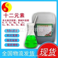 Twelve Elements Medium Elements Water-Soluble Fertilizer Trace Elements Foliage Fertilizer Agricultu