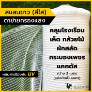 [เกรดนำเข้า ของแท้ 💯] สแลนขาว สแลนสีใส คลุมโรงเรือน แคคตัส เห็ด กระบองเพชร ผักสลัด กว้าง 2เมตร