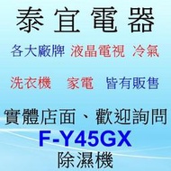 【泰宜】Panasonic 國際 F-Y45GX 除濕機 22L/日 【另有RD-320HH1】