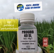 Hormon pertumbuhan progib 40 SL zpt ga 3  percepat pertumbuhan tanaman giberlin giberelin zpt