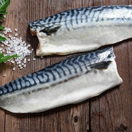 【鮮綠生活】(免運組)挪威薄鹽鯖魚S(毛重135克-170克/片)共100片