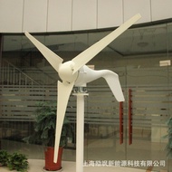 Manufacturer Horizontal Shaft 100-300W12v24v Small Wind Power Glowing Scenery Filling Street Light M