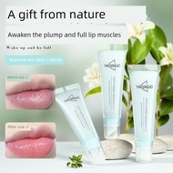 lip serum Akino Lip Essence Gel Essence Oil Lip Care Fade Lip Lines Lip Color Easy Absorb Lip Essenc