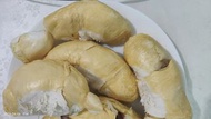 Fresh!] Top Grade Vietnamese Durian - Golden & Creamy! $100/pc**
**【極鮮！】越南上好榴槤 綠皮黃芯 肉厚軟糯 只售$100/個**
