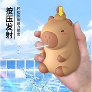玩具 (Toys)/玩具车、交通工具玩具 (Toy Vehicles) 萌趣儿童卡皮巴拉小水枪手动按压式小水枪戏水打水仗手持玩具  新款 现货 25.4.9