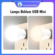 Mini USB LED Light Bulb Model Portable Portable USB Lighting Night Light Bulb